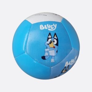 bluey-kids-mini-ball